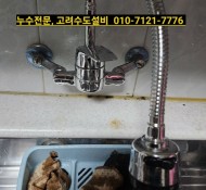 진접수도설비, 진접누수탐지, 싱크대 코브라 수전교체, 연평리누수, 금곡리설비, 진벌리누수업체, 남양주 수도설…