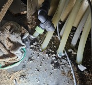 진접설비, 장현리누수, 삼신아파트 누수, 정광산호아파트누수, 하우스토리아파트설비, 진접누수탐지업체