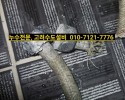 퇴계원 설비,퇴계원 누수업체, 덕소설비, 와부읍누수, …
