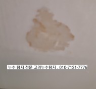 서울 암사동 선사 현대 아파트 누수탐지 <거실 천장으로 물이 번져요> 남양주 하남 덕소 누수탐지, 의정부 동…