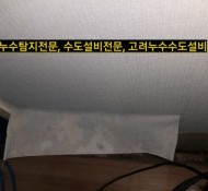 포천누수탐지, 포천시 군내면 전원주택 누수탐지/포천보일러누수/포천아파트화장실누수방수/포천우수관누수설비#포천보…